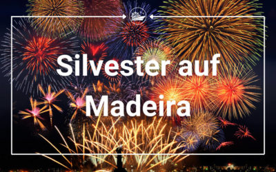 Silvester und Jahreswechsel auf Madeira: Diese Kreuzfahrtschiffe sind 2023-2024 dabei