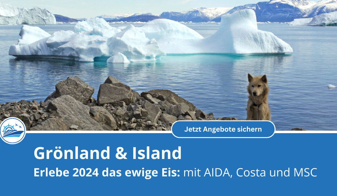 Entdecke Grönland und Island: AIDA, MSC und Costa bietet 2024 günstige Kreuzfahrten in die Polarregion