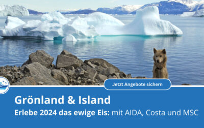 Entdecke Grönland und Island: AIDA, MSC und Costa bietet 2024 günstige Kreuzfahrten in die Polarregion