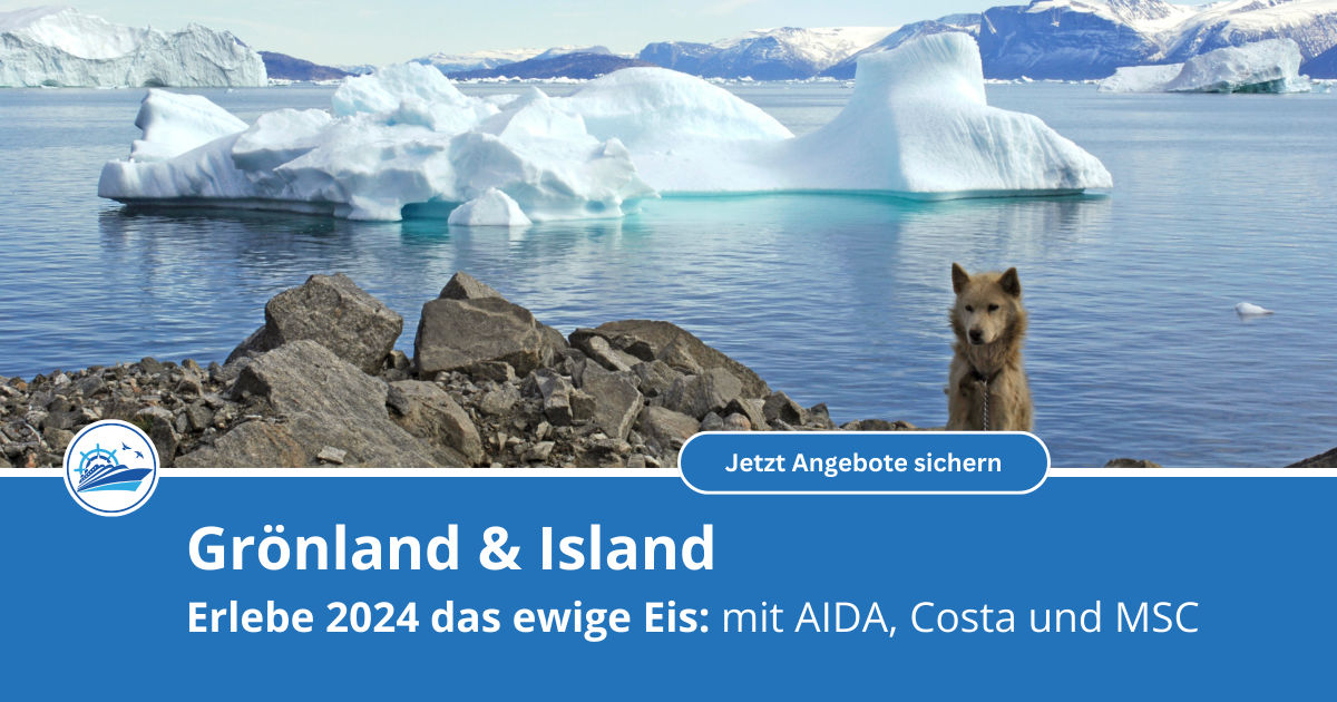 Entdecke Grönland & Island: Angebote von AIDA Cruises, Costa Kreufahrten und MSC Cruises