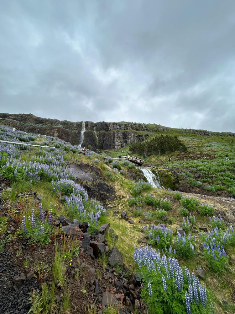 Reisebericht: Island – eine Reise auf der Insel der kühlen Schönheit 2 Kathrin Island Wasserfall
