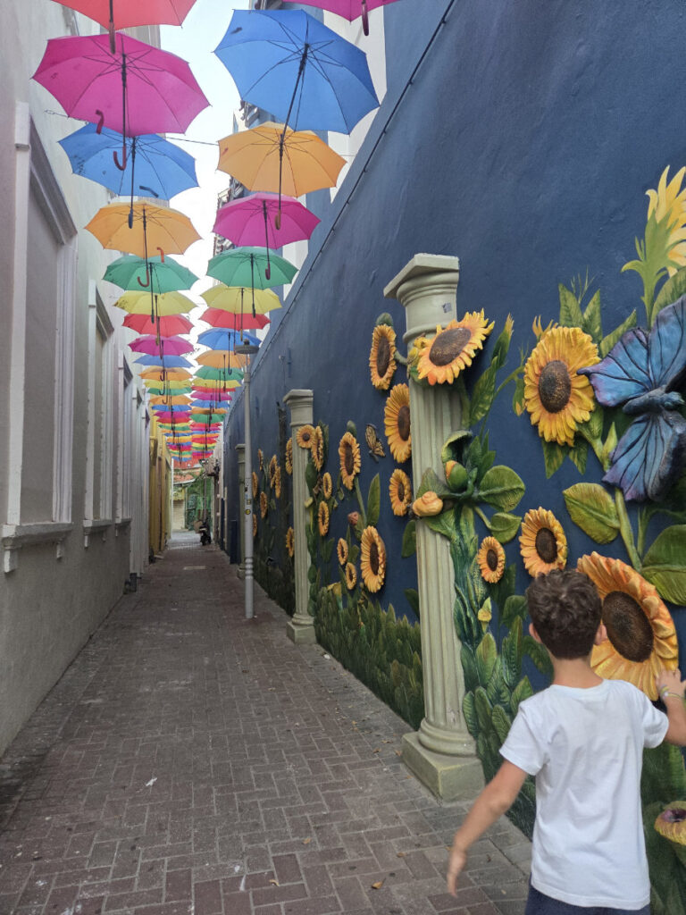 kudk kar Regenschirme